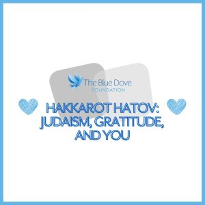Hakkaraot Hatov: Judaism, Gratitude, and You